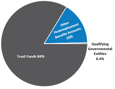 Non-Retirement Investment Program Plan Allocation Chart as of June 30 2026